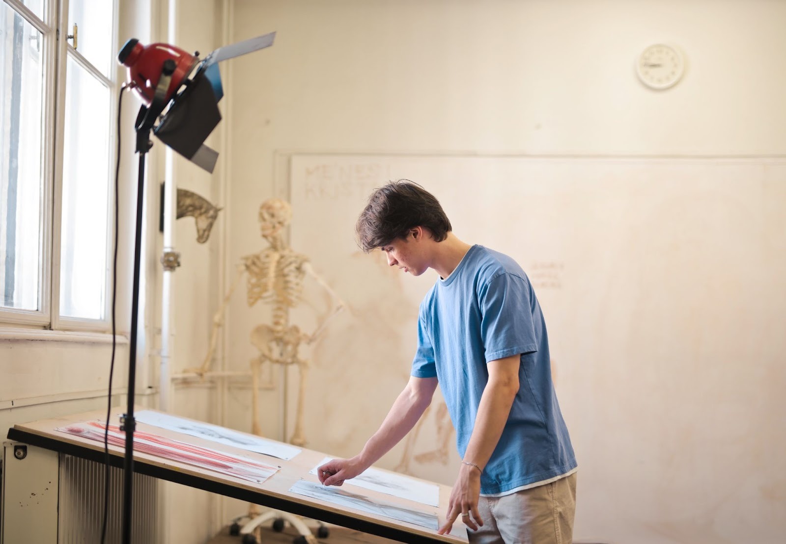 The Best Materials for Long-Lasting Crown Molding